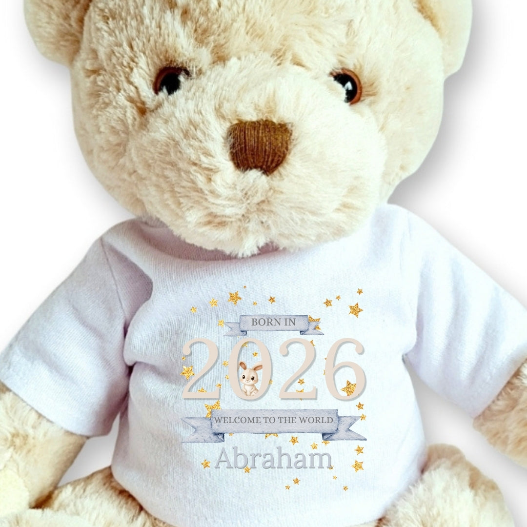 Personalised Luxury Teddy | Welcome to the World 2026 T-Shirt-1